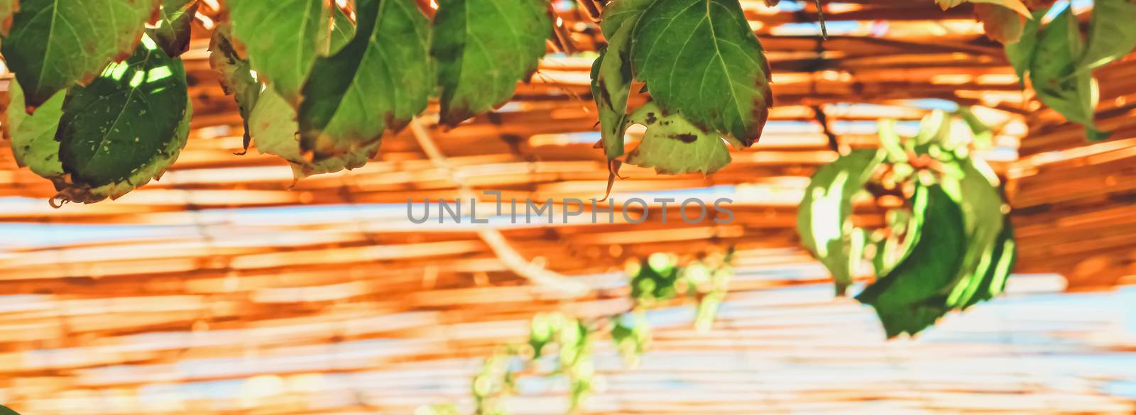 Wooden roof on the beach by Anneleven