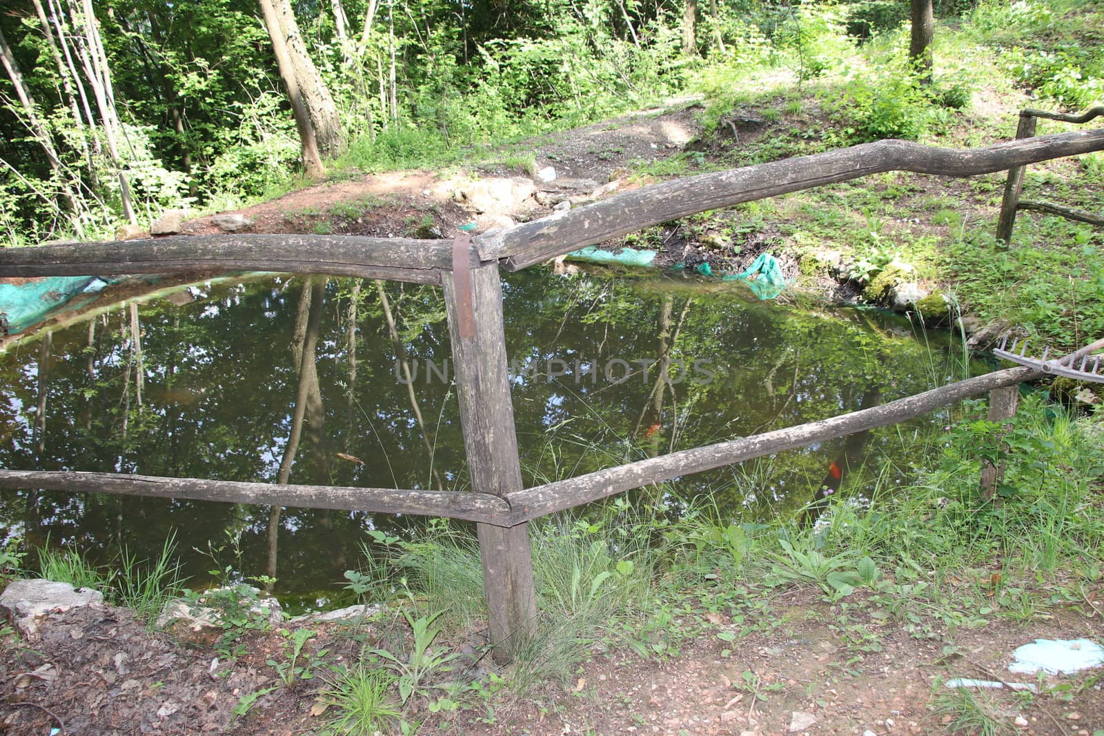 small pond and the reflection of mountains on the water in summer