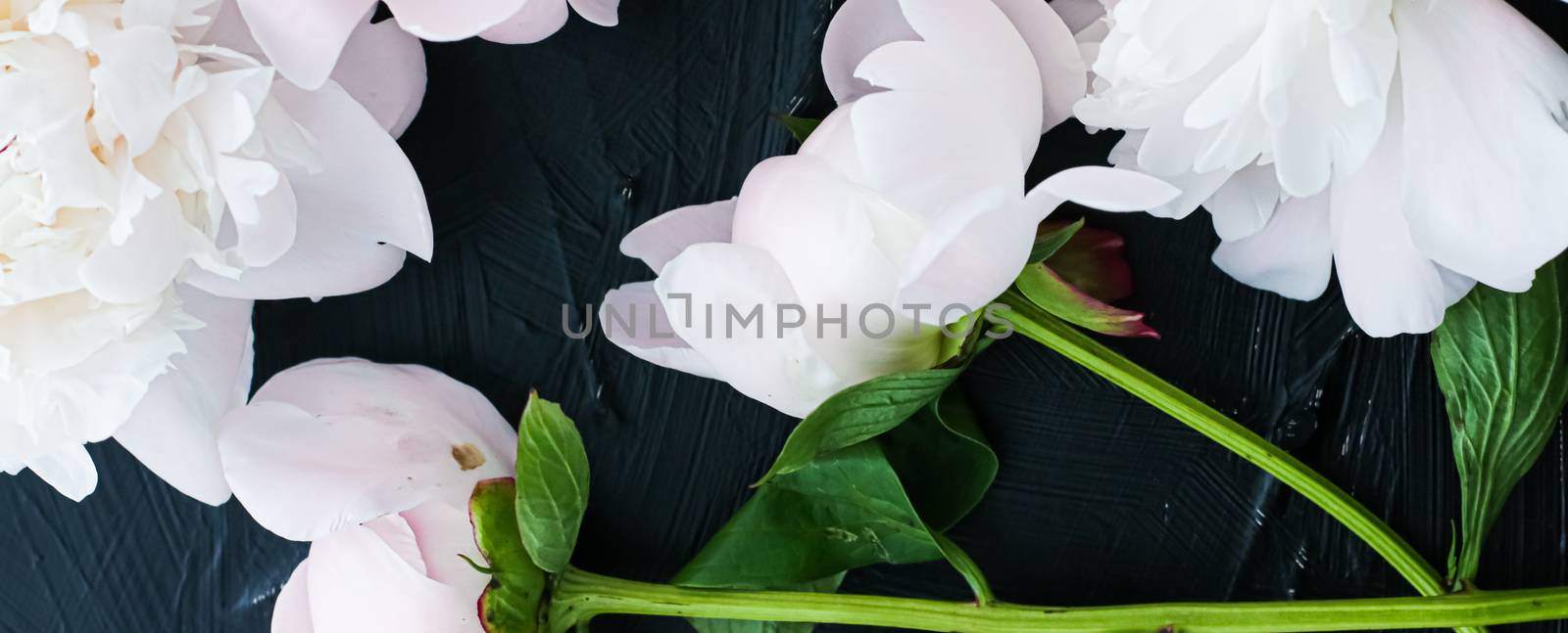 Blooming peony flowers as floral art background, botanical flatlay and luxury branding design