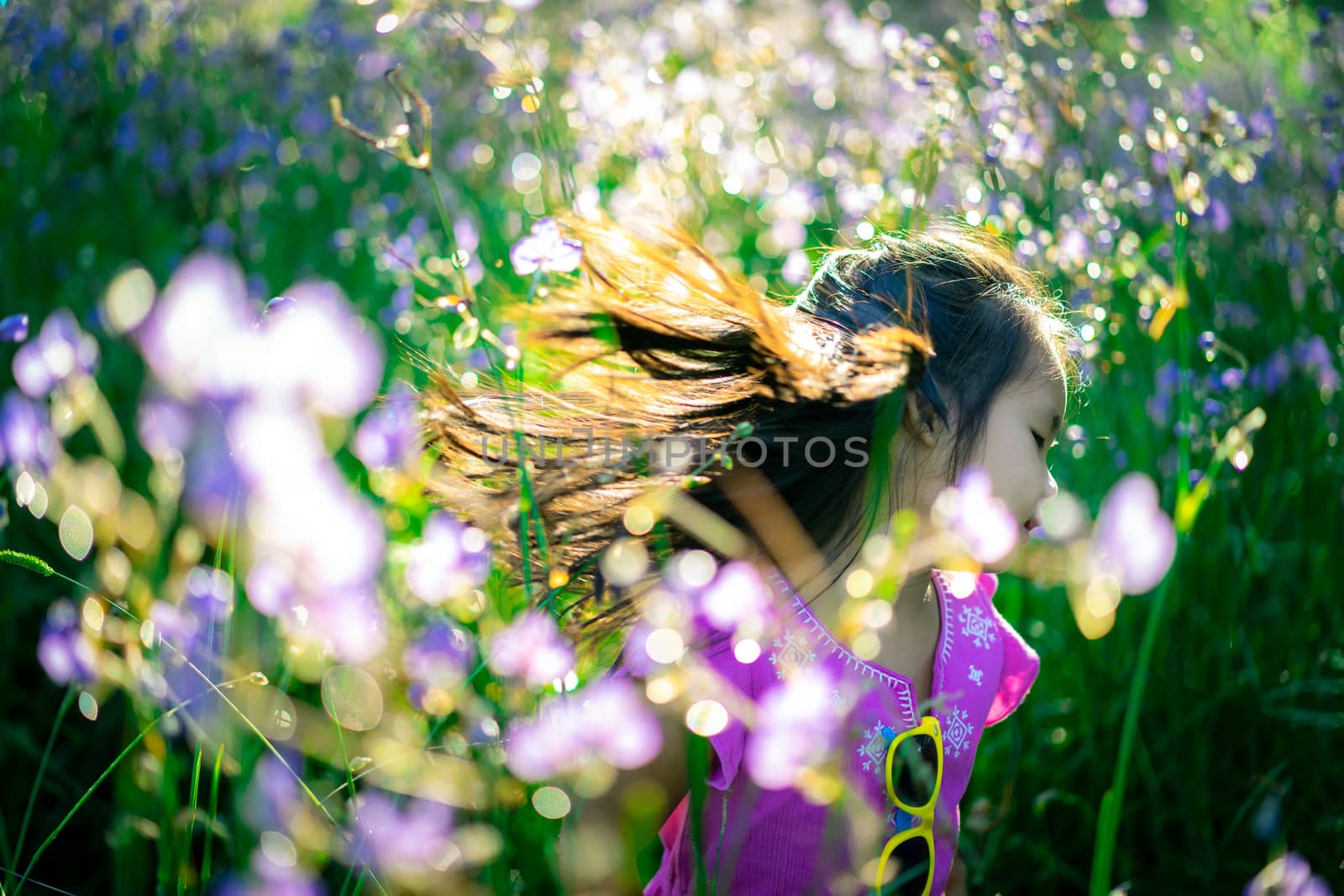 happy little asian girl in crested serpent sweet purple flowers garden field
