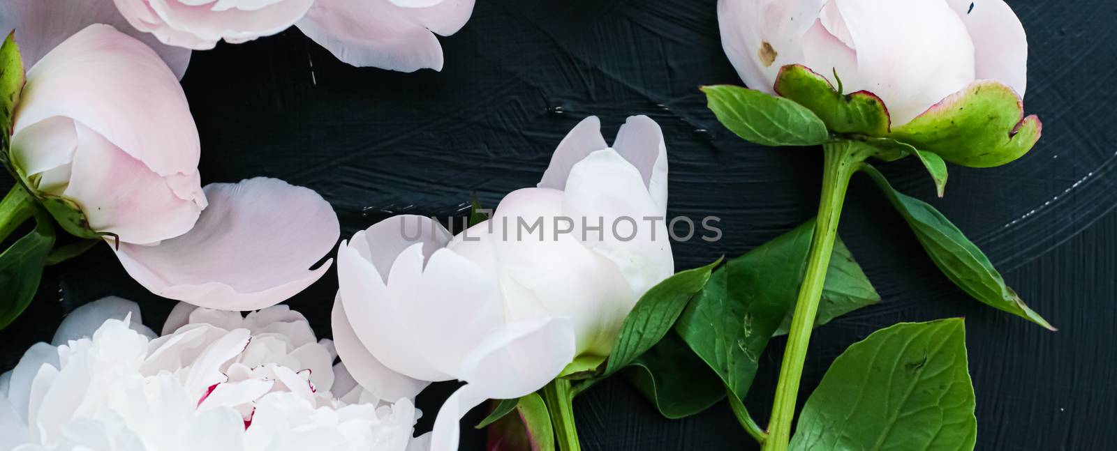 Blooming peony flowers as floral art background, botanical flatlay and luxury branding design