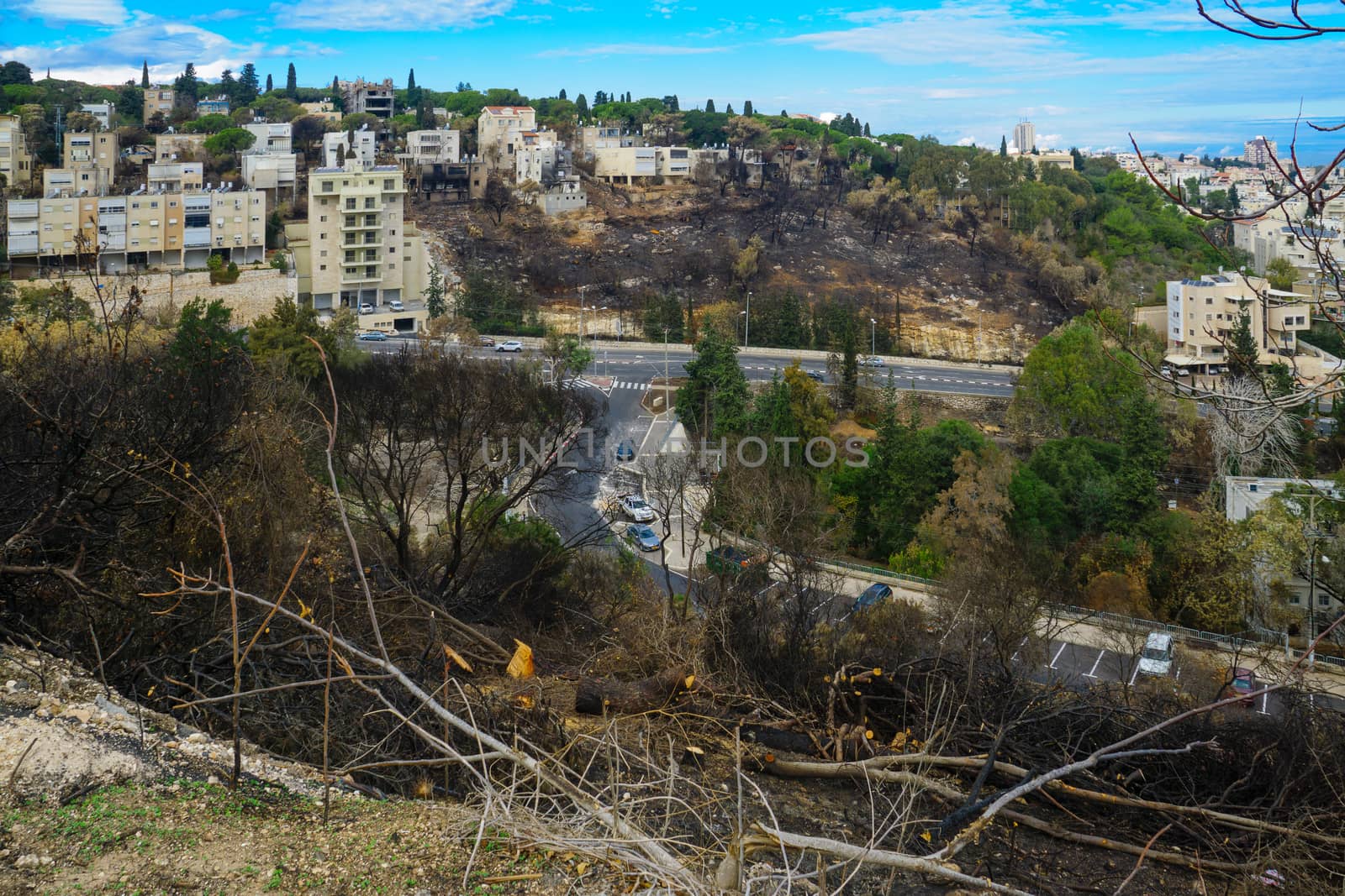 HAIFA, ISRAEL - DECEMBER 08, 2016: View of the results of the fire of November 24, with burn down trees and houses, in Haifa, Israel