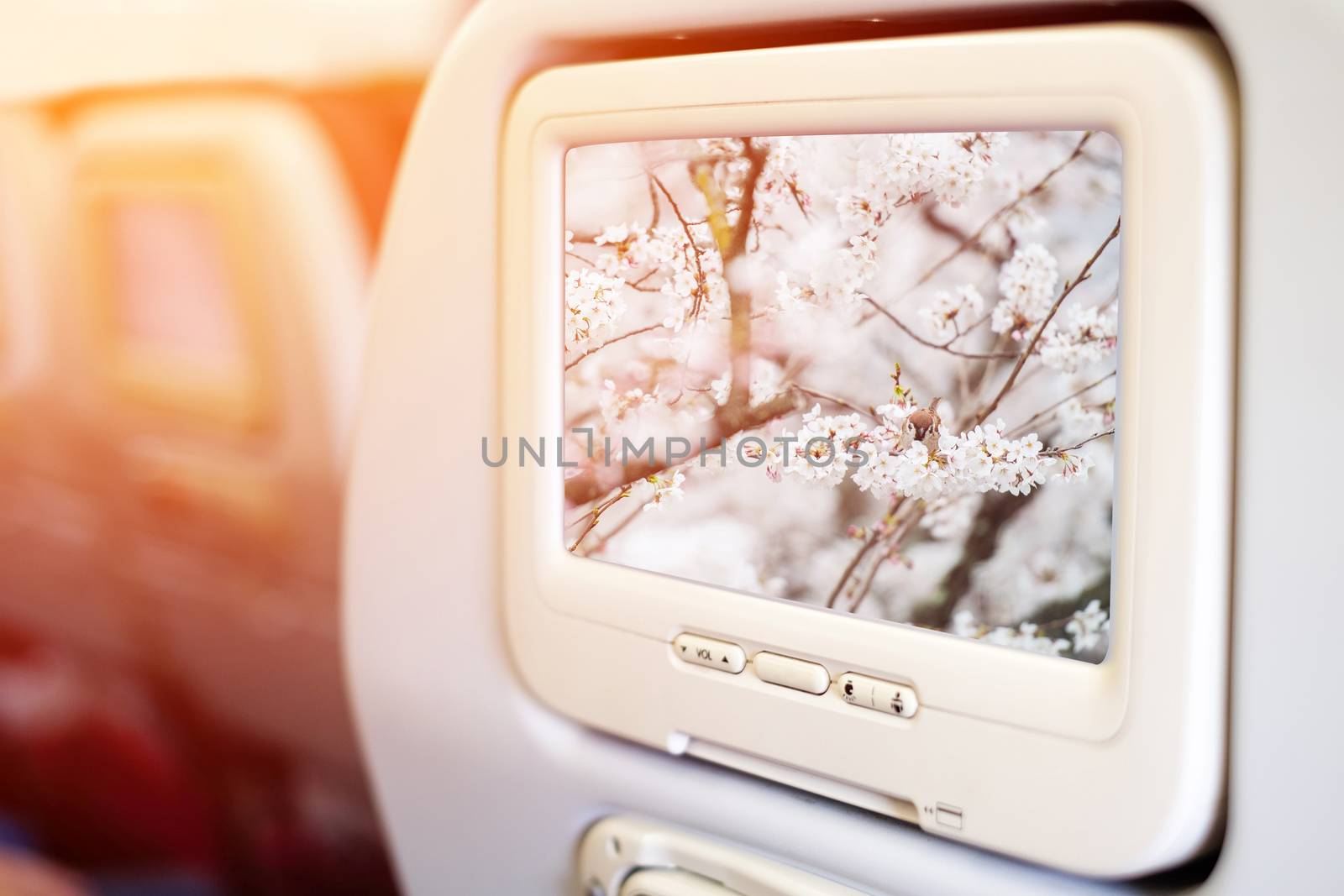 Aircraft monitor in front of passenger seat showing Little bird  by Surasak