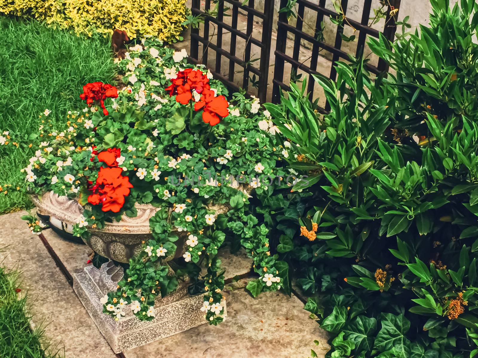 Beautiful green garden with flowers on luxury backyard by Anneleven