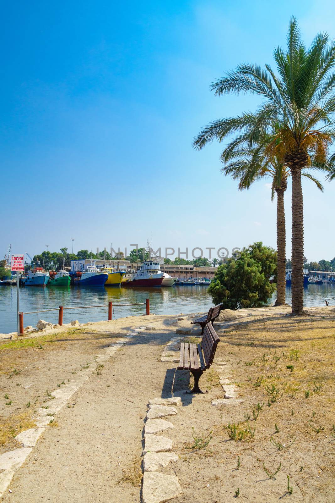 HAIFA, ISRAEL - JULY 31, 2015: The Kishon Park and the Kishon Port, in Haifa, Israel