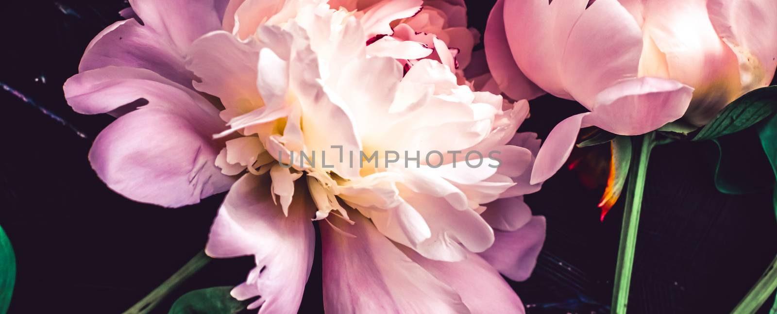 Pink peony flowers as floral art background, botanical flatlay and luxury branding by Anneleven