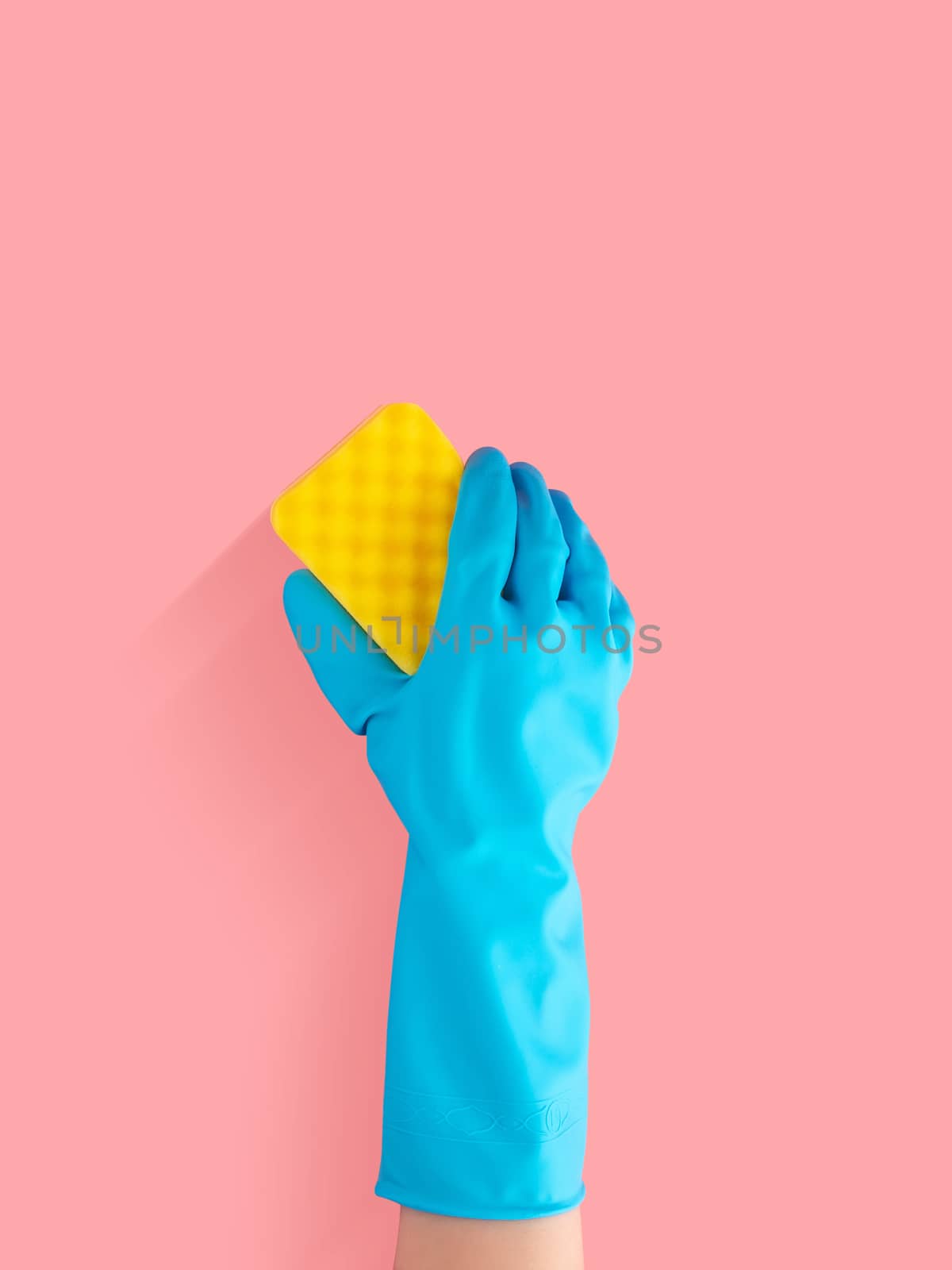 hand in blue rubber glove holding yellow cleaning sponge, cleani by asiandelight