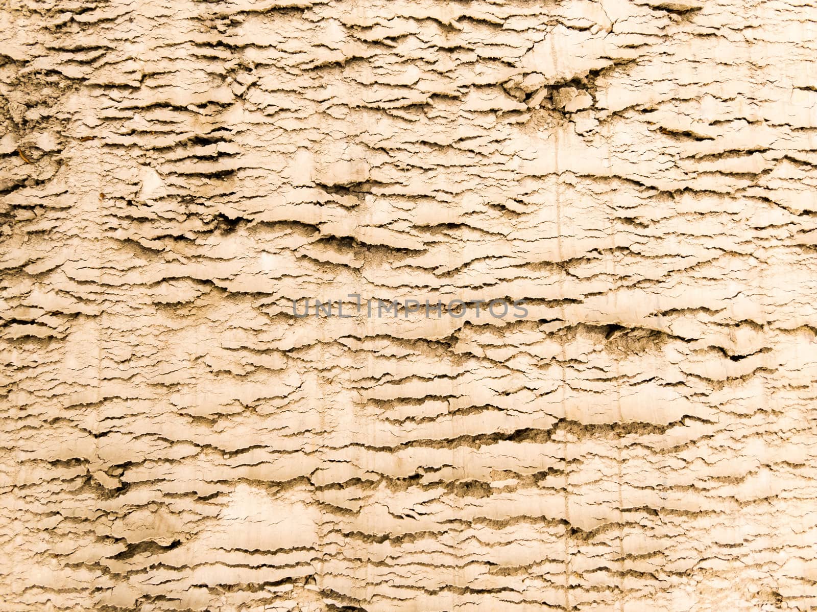 Compressed sand texture on a construction site. Useful as background of bump texture for 3d rendering. Copy space