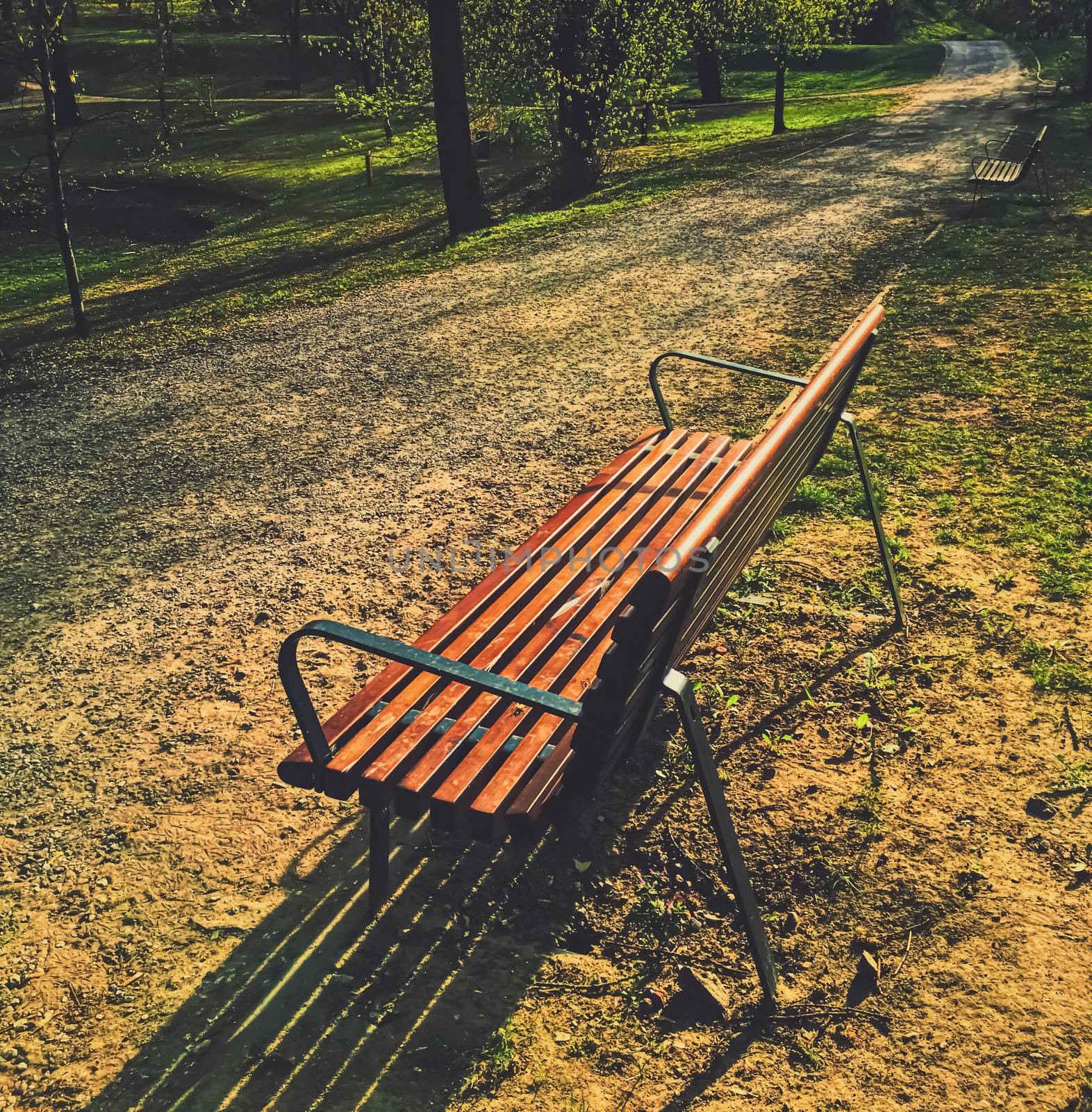 Empty bench in park during a city lockdown in coronavirus pandemic, outdoors and social issue