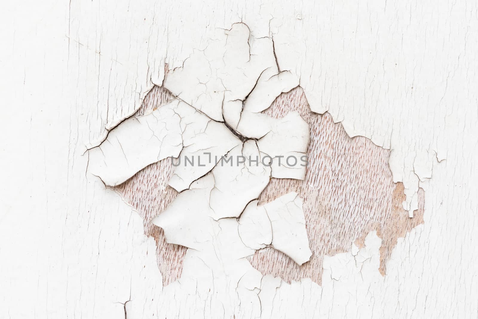 Abstract texture of old cracked paint on a white wooden door
