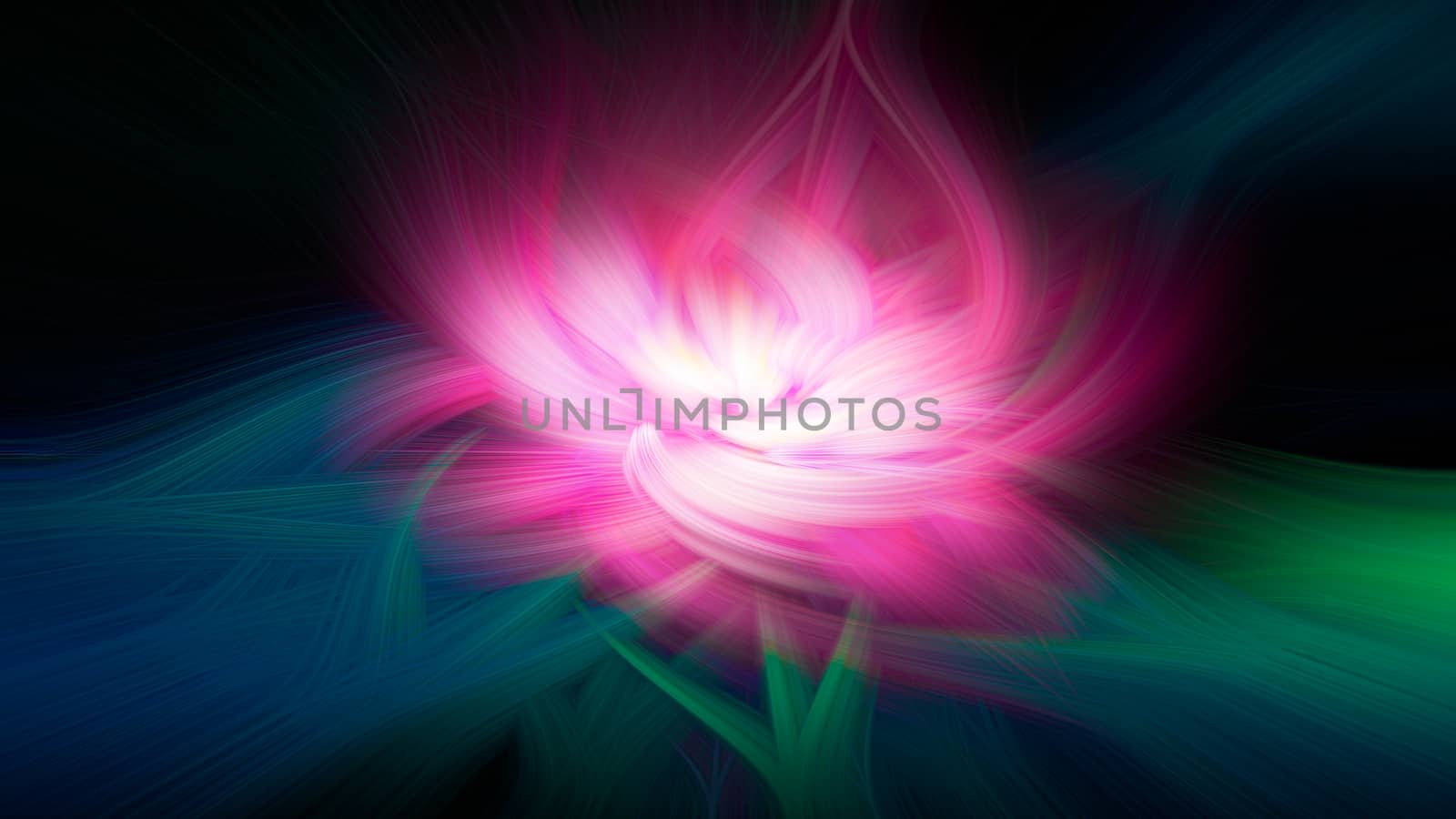 Colorful bright lotus water lily smooth flower shape swirl abstract background