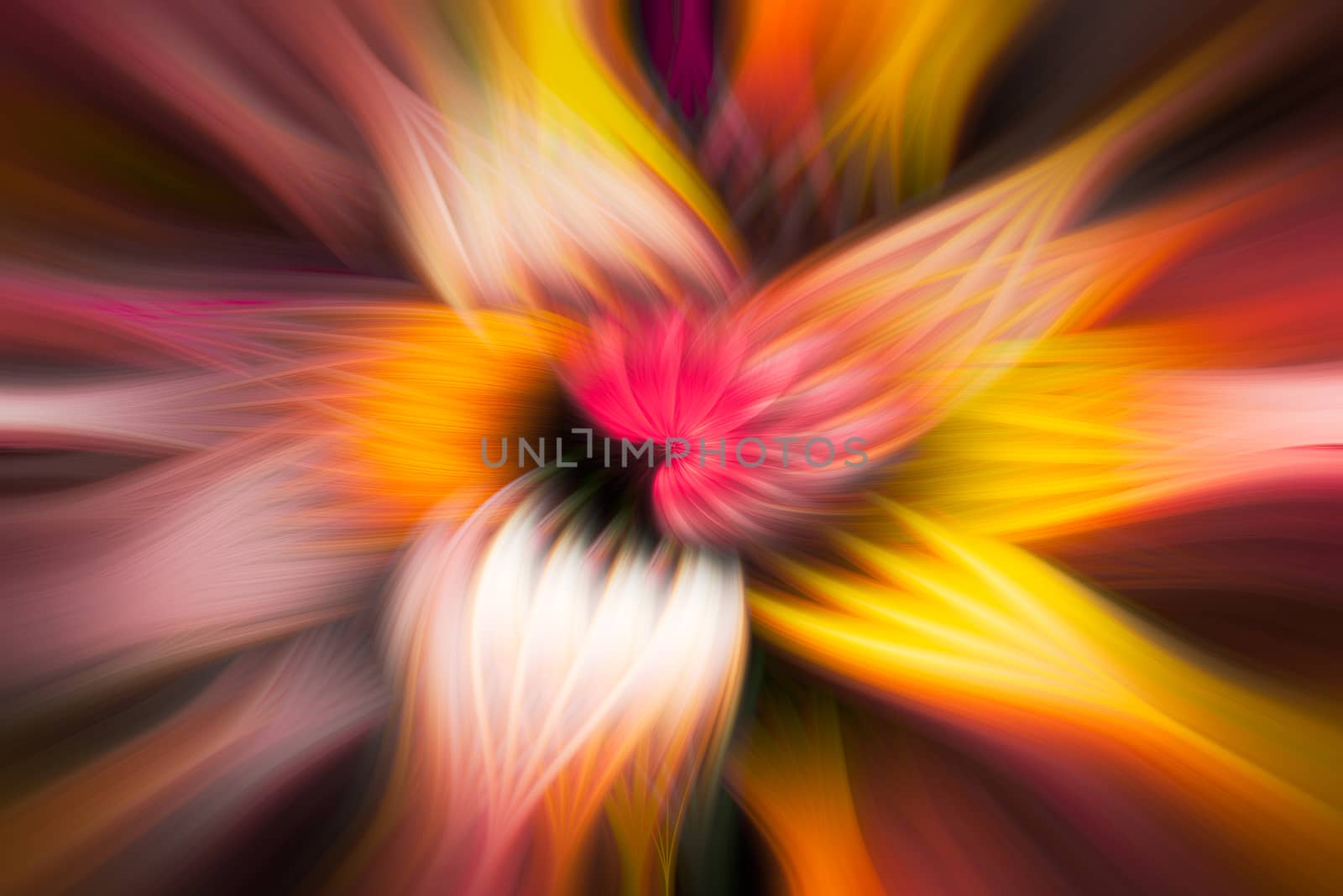 Colorful smooth bright flower shape swirl abstract background