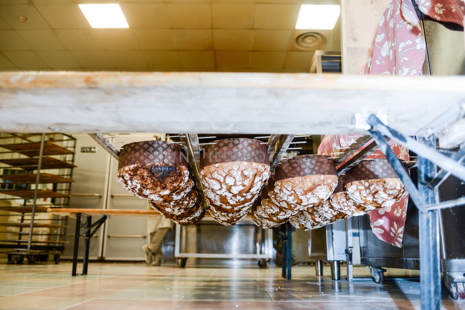 pastry chef in professional kitchen preparing and baking milanese panettone in christmas time. by verbano