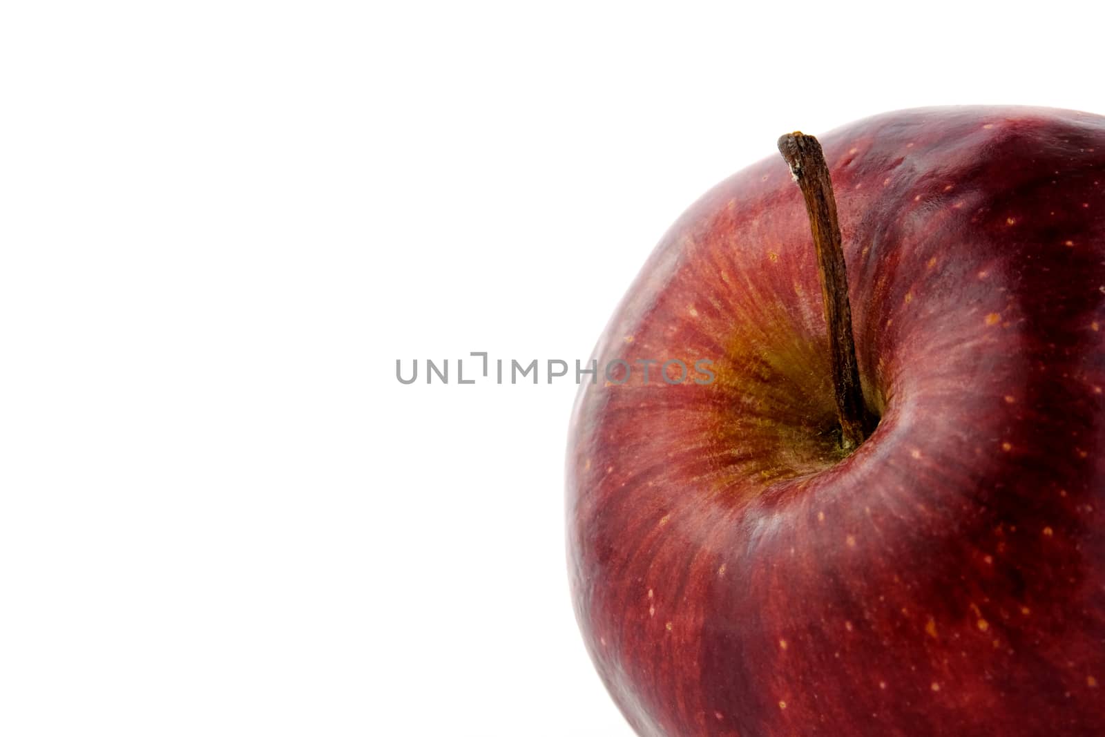 detail of red Apple fruit from close isolated on white background