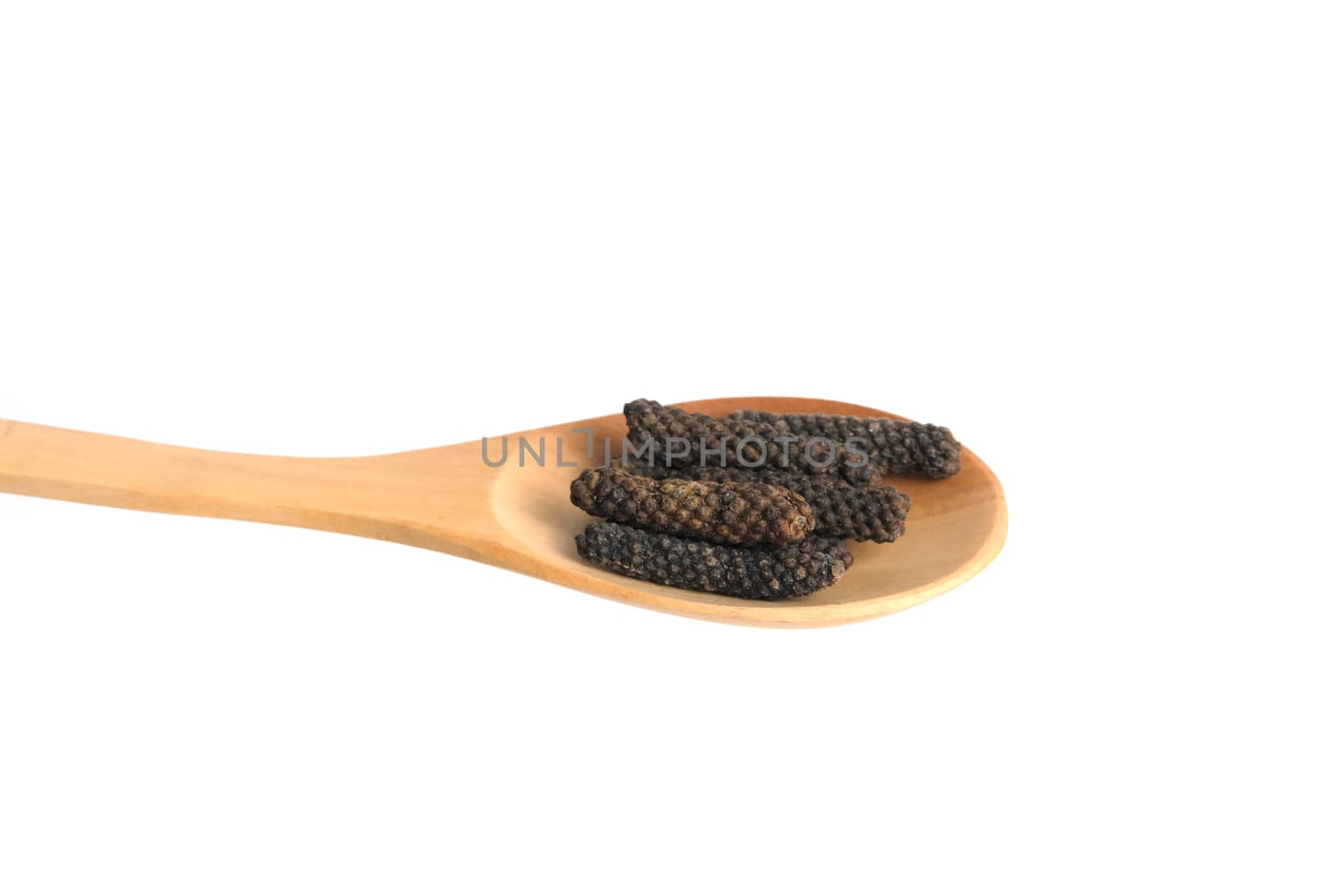 Dried Piper retrofractum, the Balinese long pepper or Javanese long pepper on wooden spoon, isolated in white background.