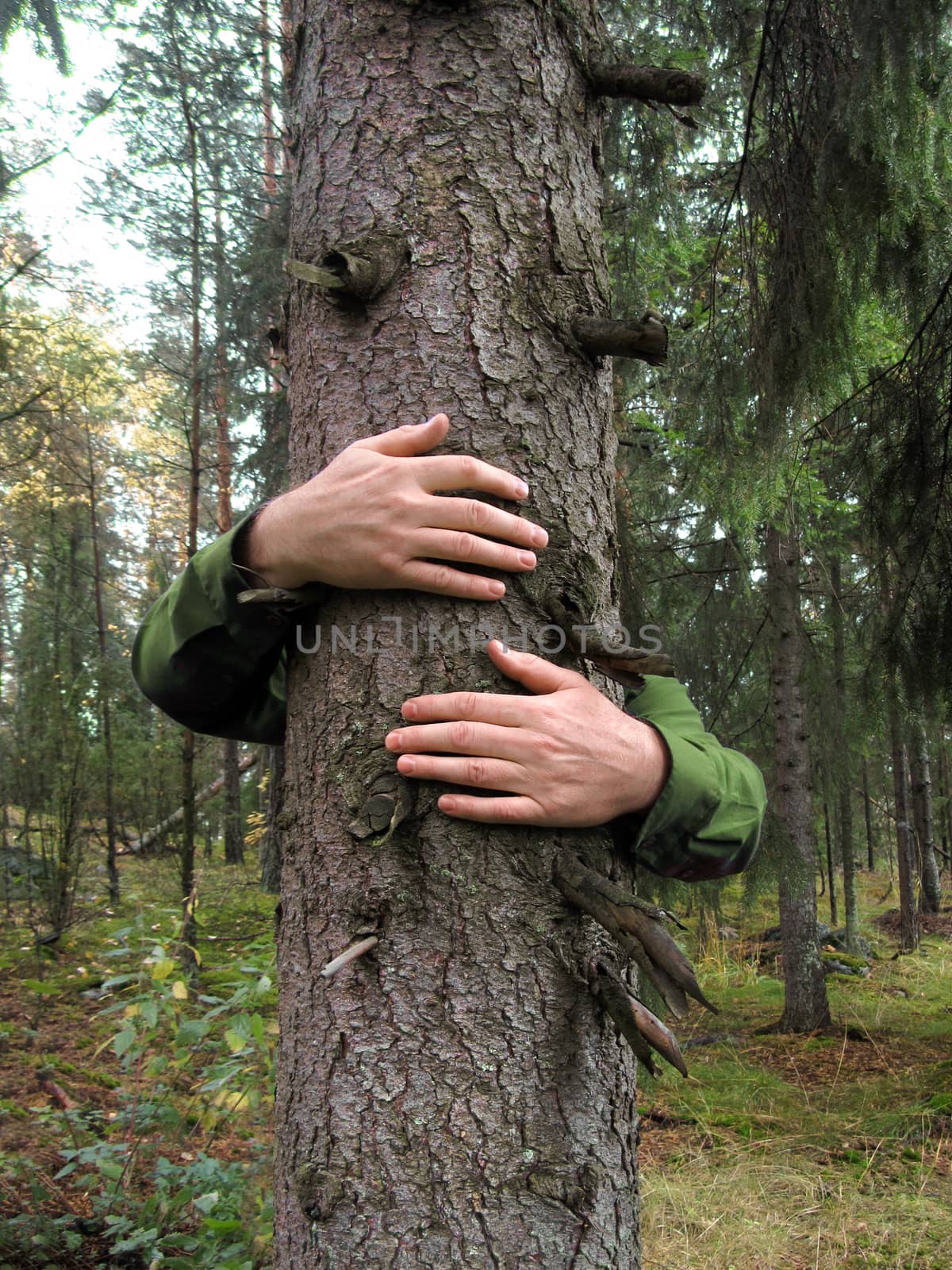 Hands hugging a tree by anterovium