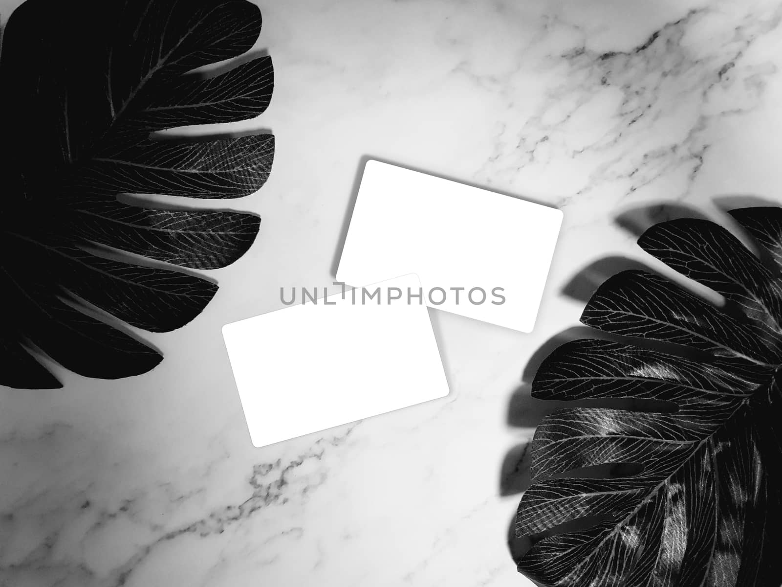 business card mock-up. white blank business cards on white marble background with tropical palm leaves. template, monotone color by asiandelight