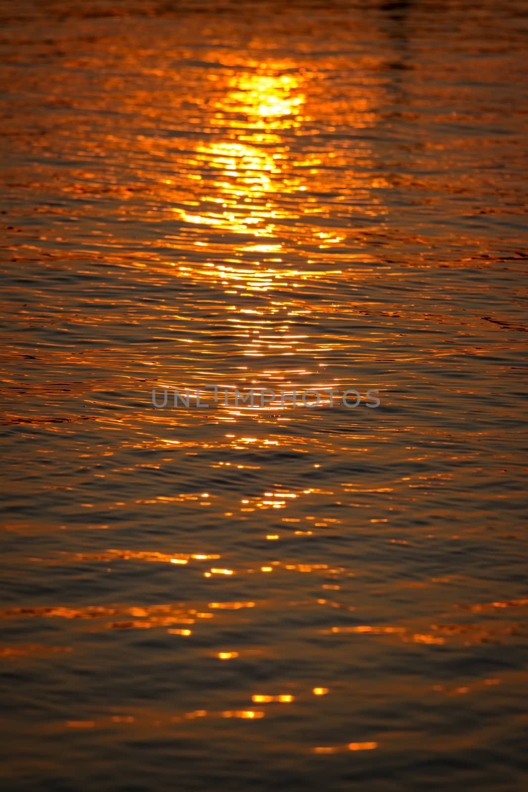 Beautiful sunset light on a autumn lake