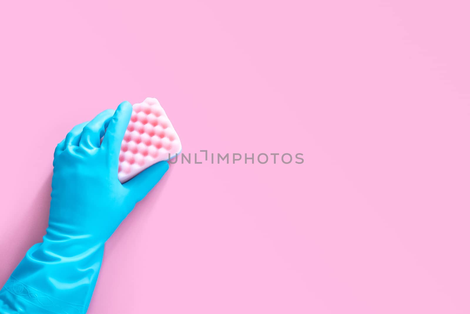 hand in blue rubber glove holding pink cleaning sponge isolated on pink background with copy space for text or logo