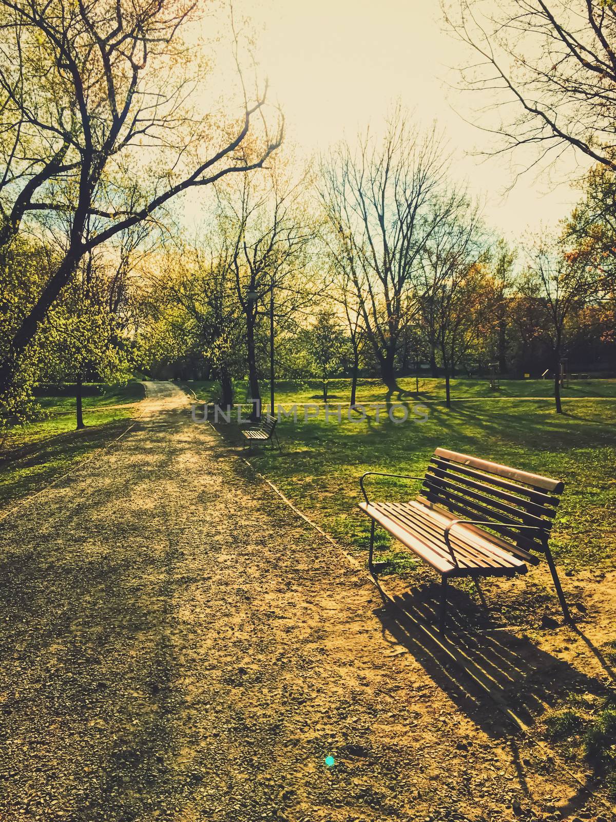 Empty bench in park during a city lockdown in coronavirus pandemic, outdoors and social issue