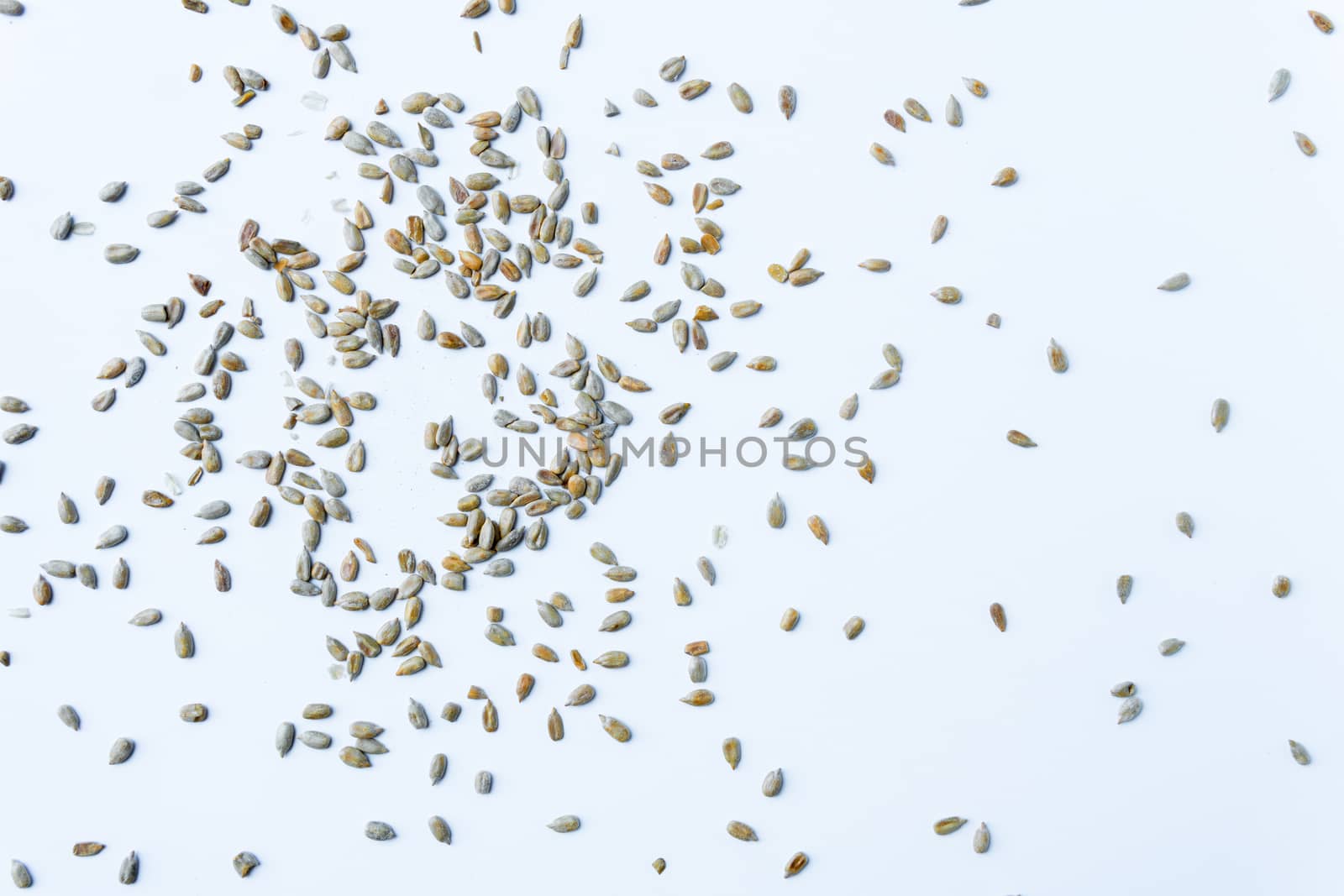 peeled sunflower seeds spread on white background