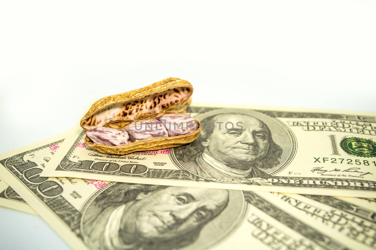 Peanuts placed on dollar bills on a white background. Business ideas related to peanuts