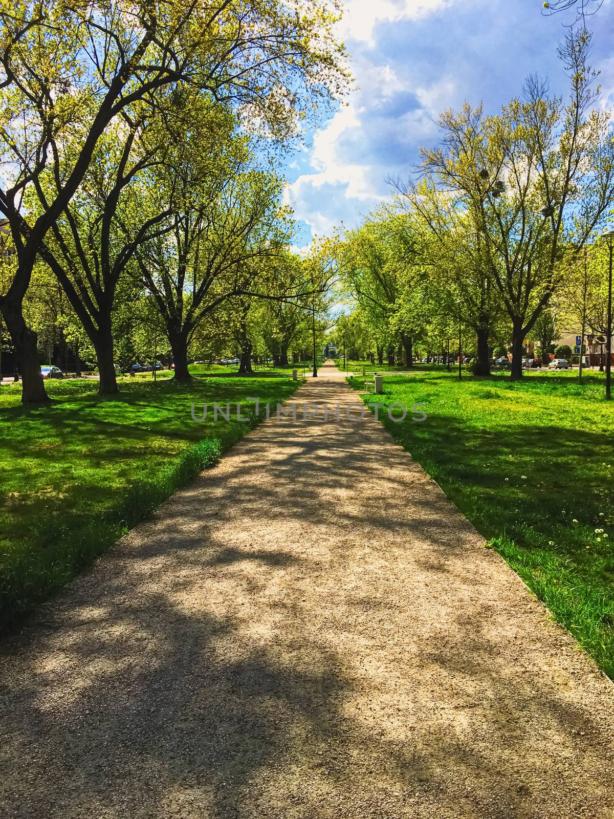 Sunny alley in the city park in spring, nature and outdoor landscape scenery