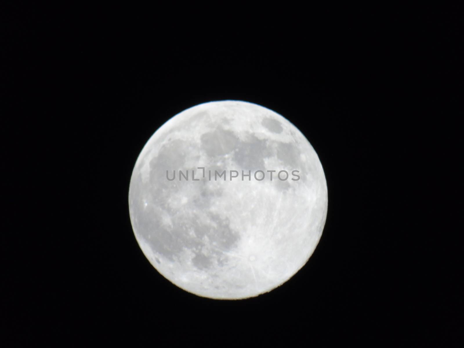 Beautiful caption of the moonlight over the village in winter days with some trees and leaves in the background by night and by day.