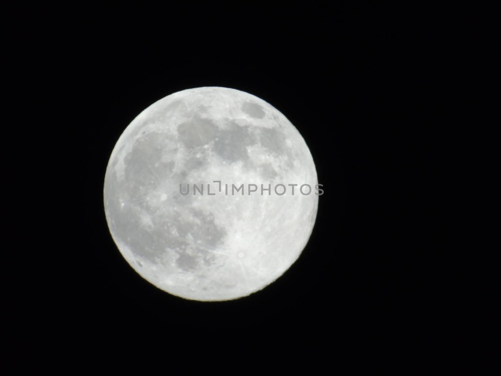 Beautiful caption of the moonlight over the village in winter days with some trees and leaves in the background by night and by day.