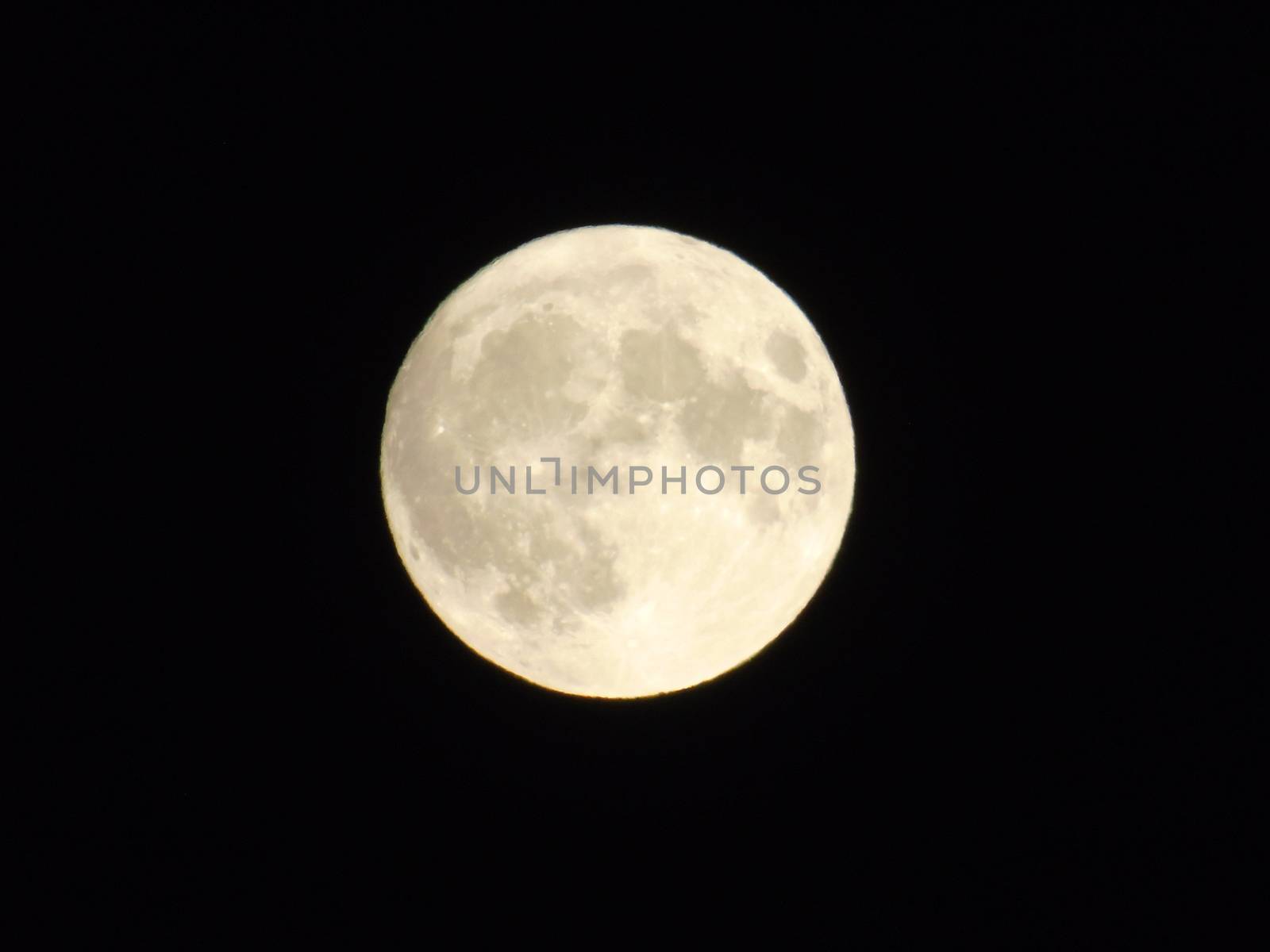 Beautiful caption of the moonlight over the village in winter days with some trees and leaves in the background by night and by day.