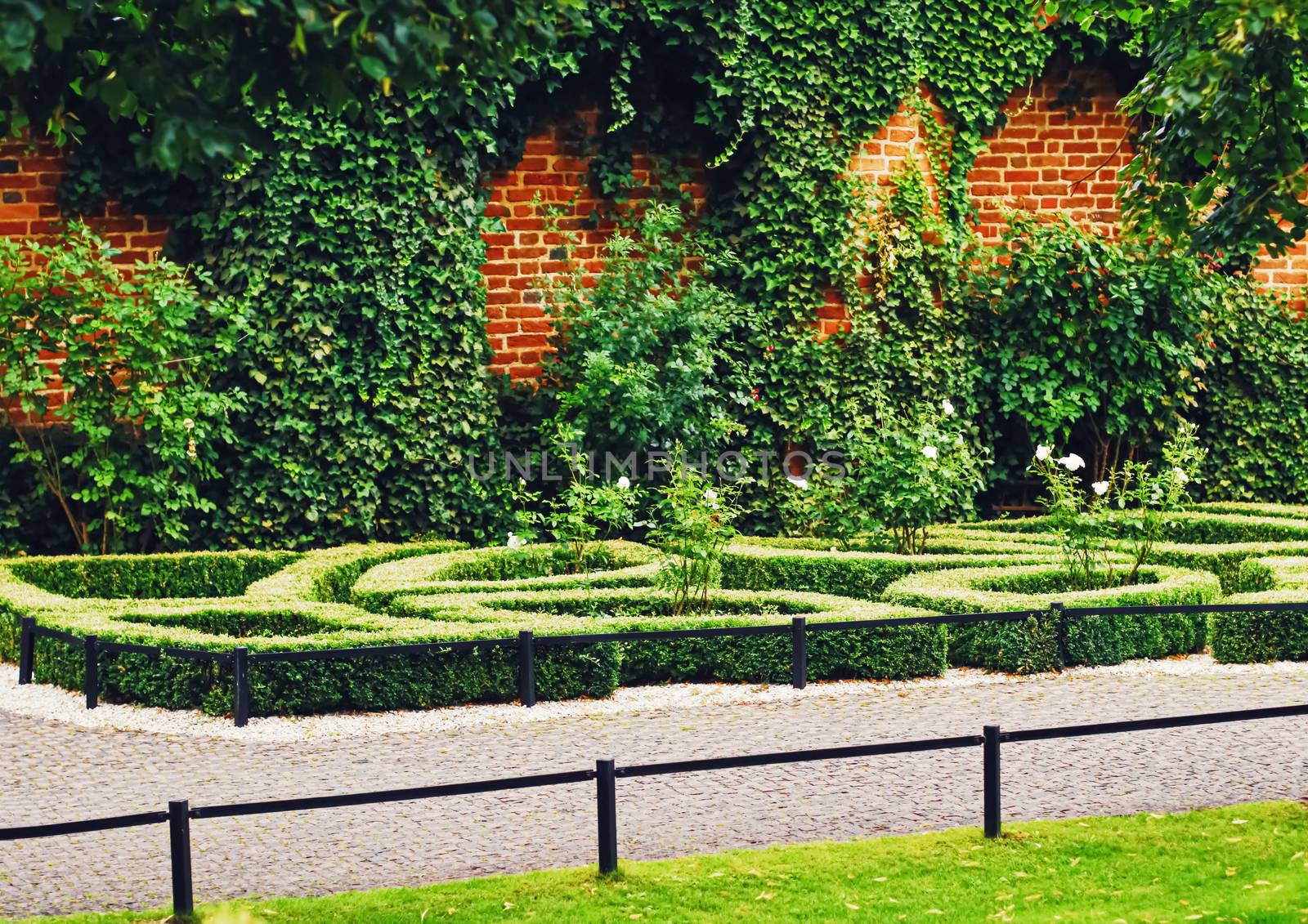 Green garden and landscape design in the city park, nature and outdoors