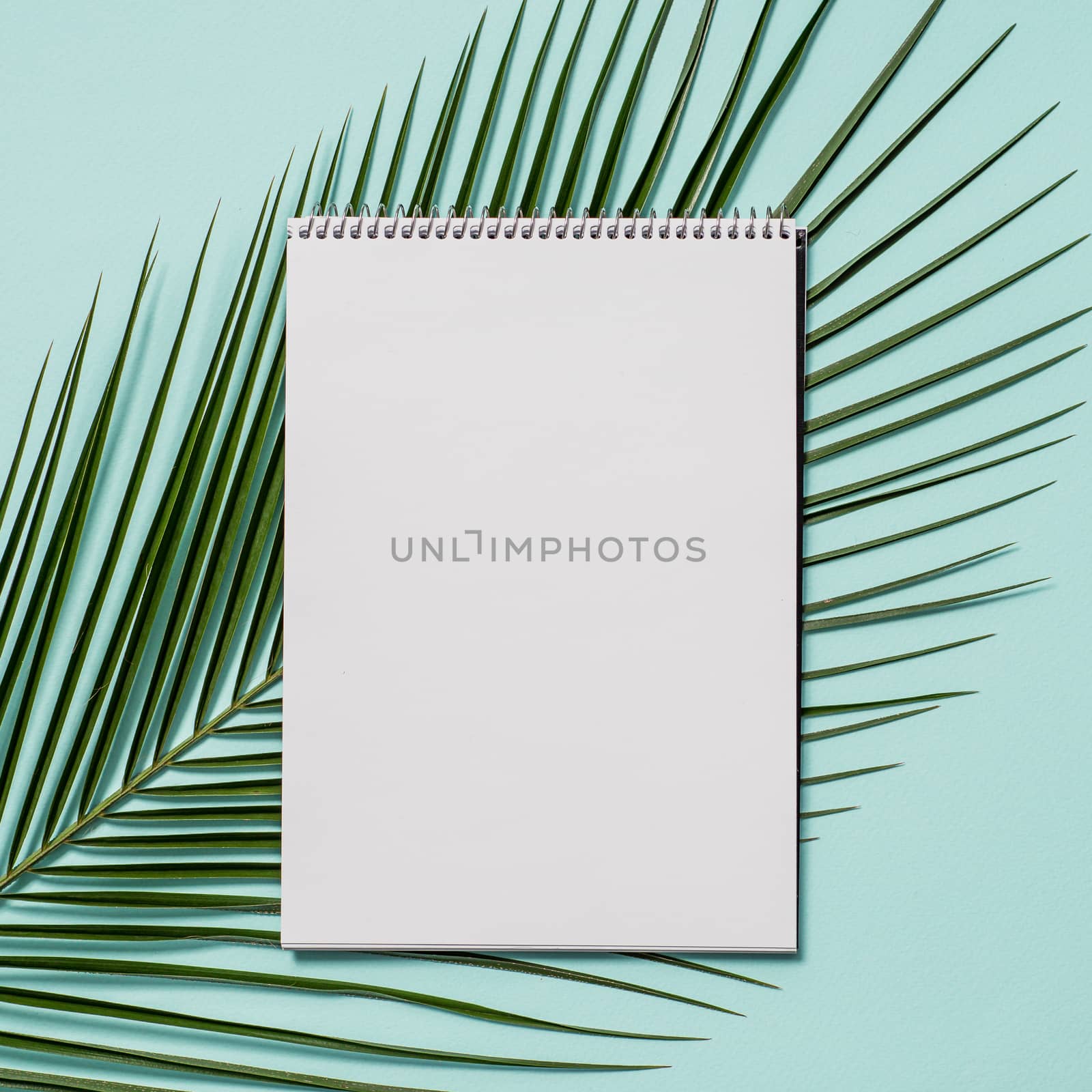 Blank paper notebook with pencil. Empty paper sketchbook with pencil and tropical leaf on blue background. Top view or flat lay. Copy space for text or design.