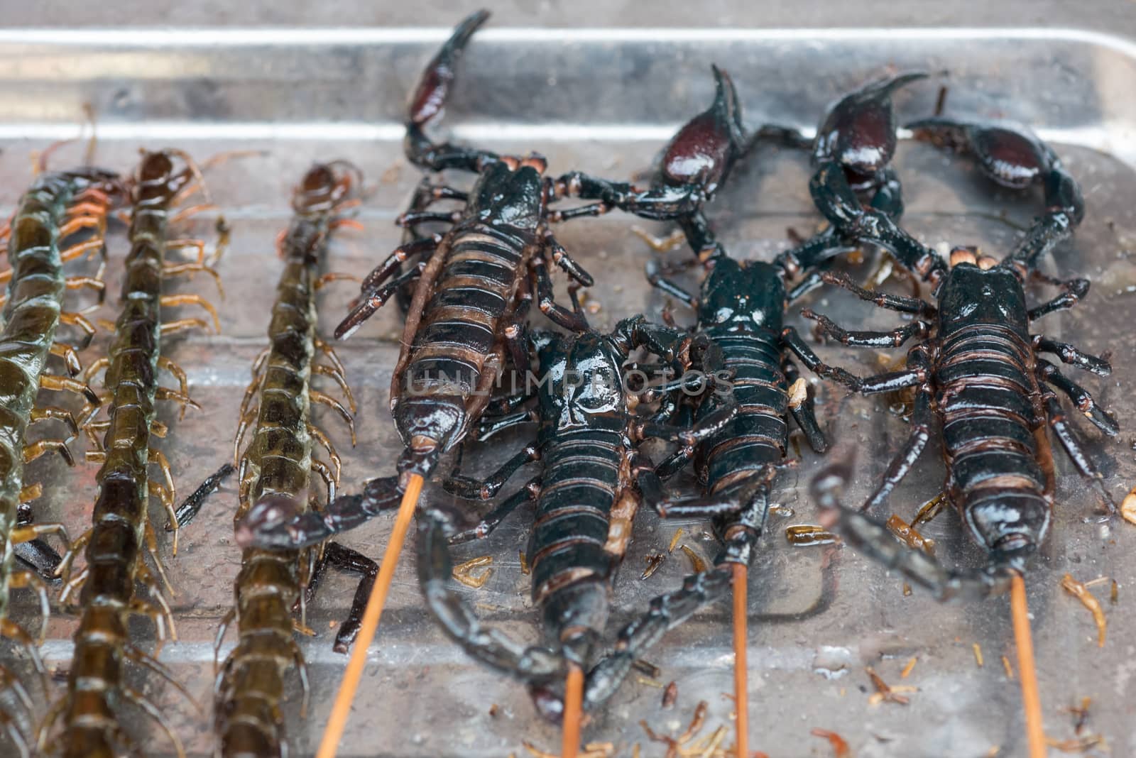 Scorpios on sticks in a chinese market, Chengdu, China