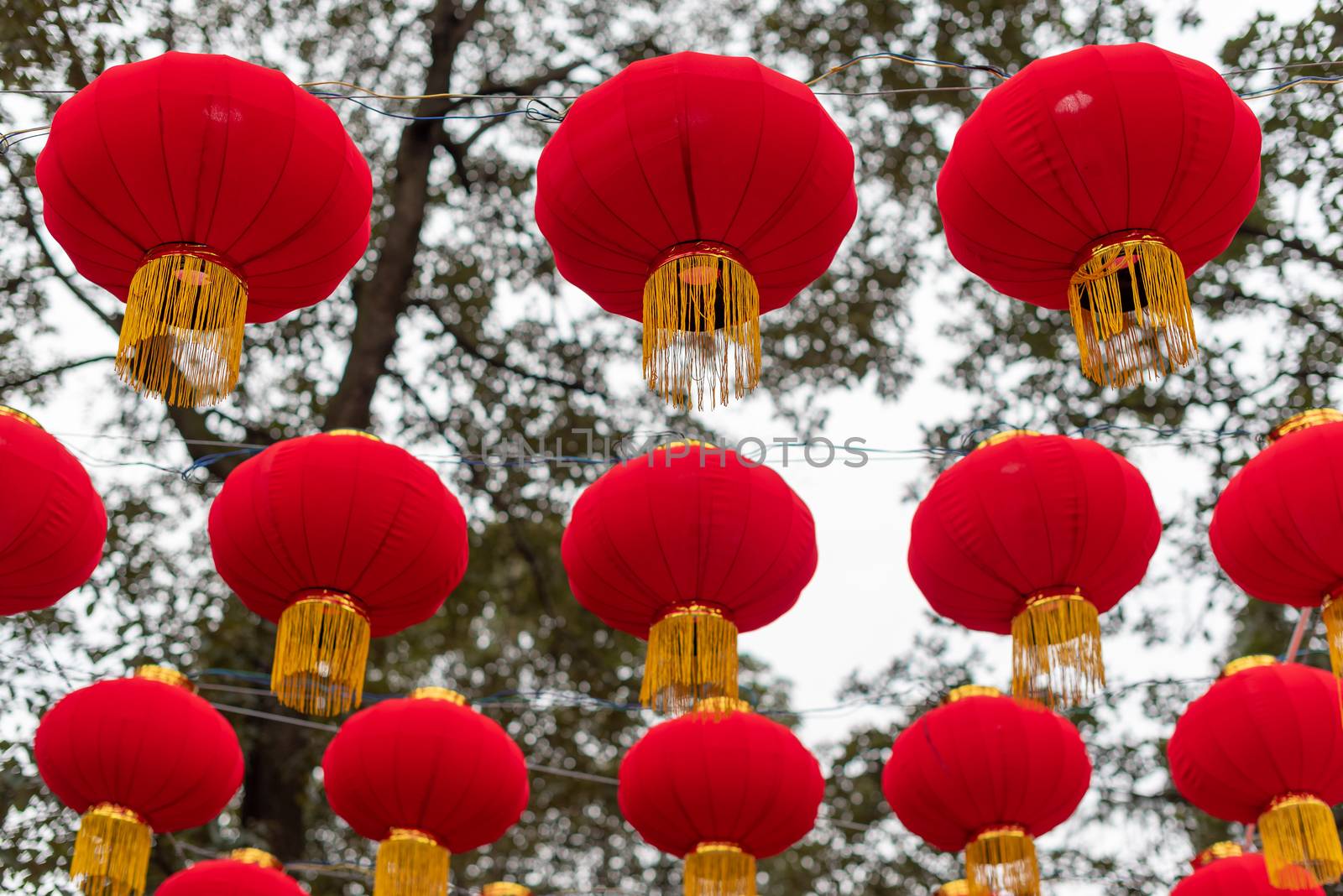 Red chinese lanterns hanging in the street for the chinese new year
