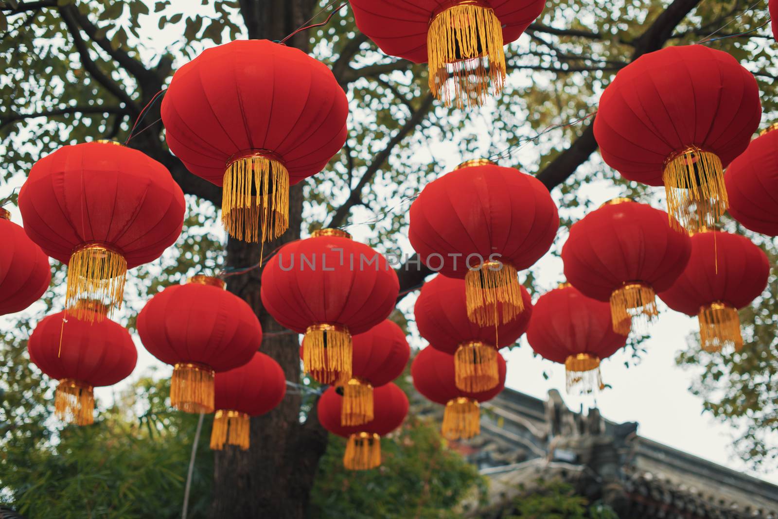Red chinese lanterns hanging in the street for the chinese new year