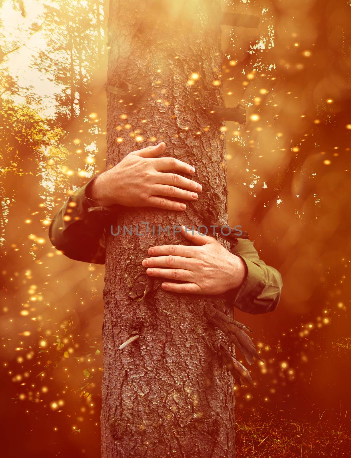 Hands hugging a tree in mystical forest by anterovium