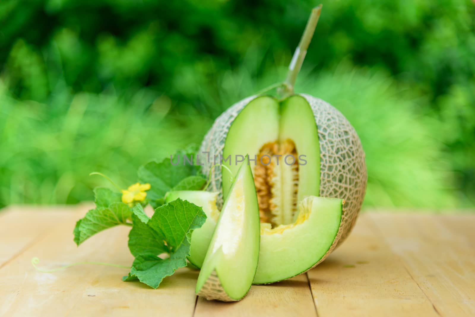Fresh Green melon on wood plate by rukawajung