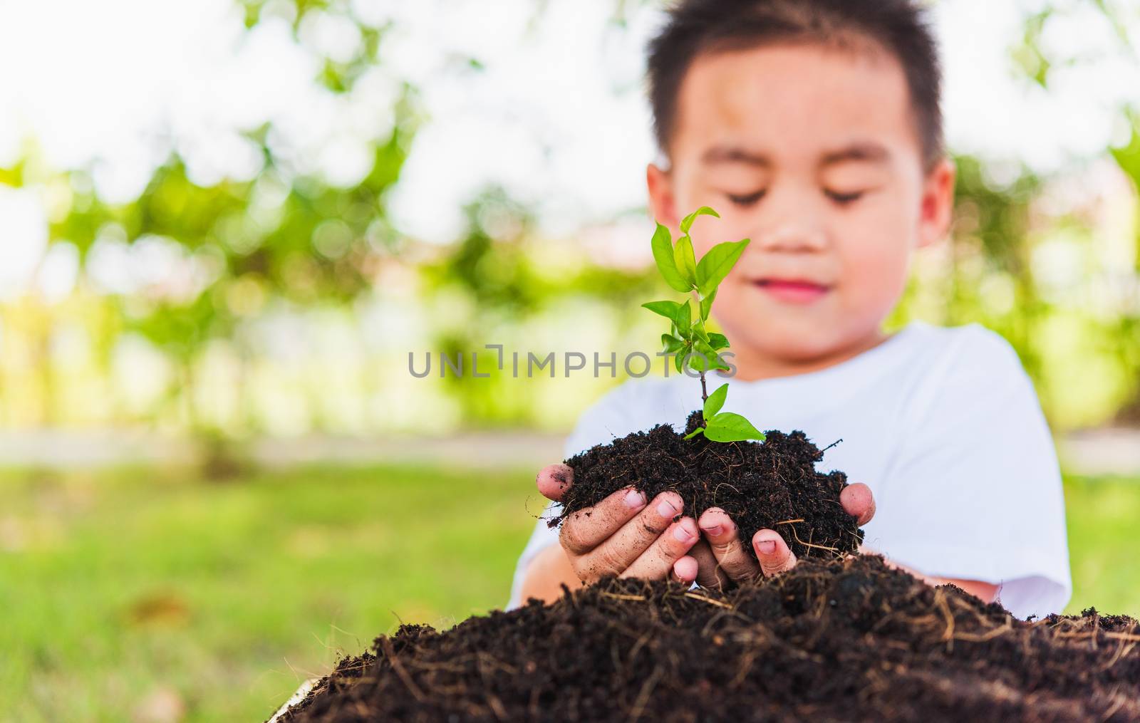 World Environment Day Environment Concept, Hand of Asian cute little cheerful child boy holding young tree on black soil ready to plan on green garden background