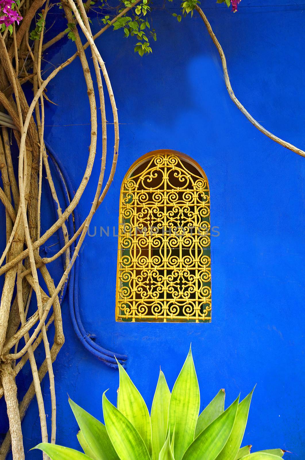 One of the many decorative windows in the houses and gardens in Marrakech