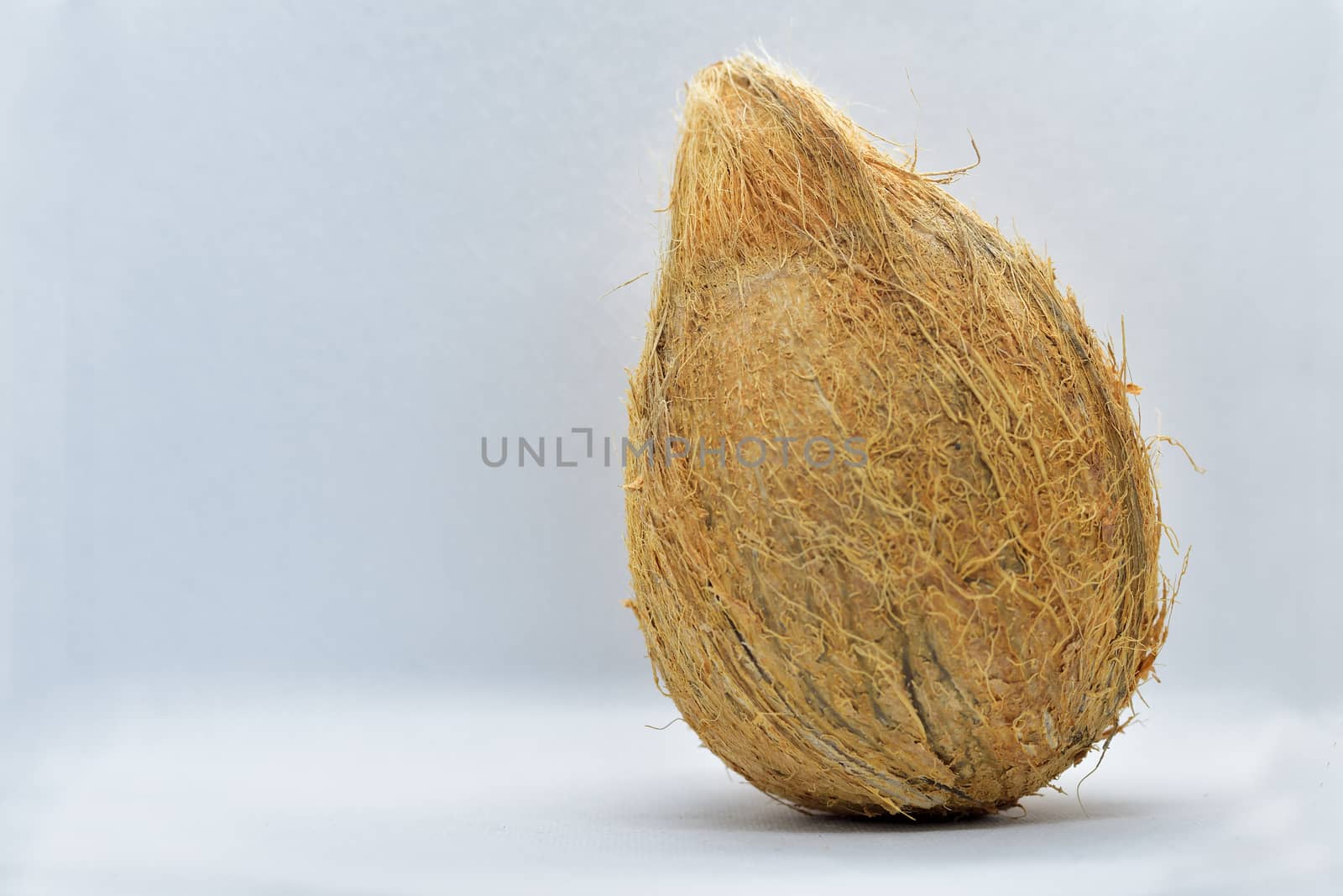 De-husked coconut fruit by rkbalaji