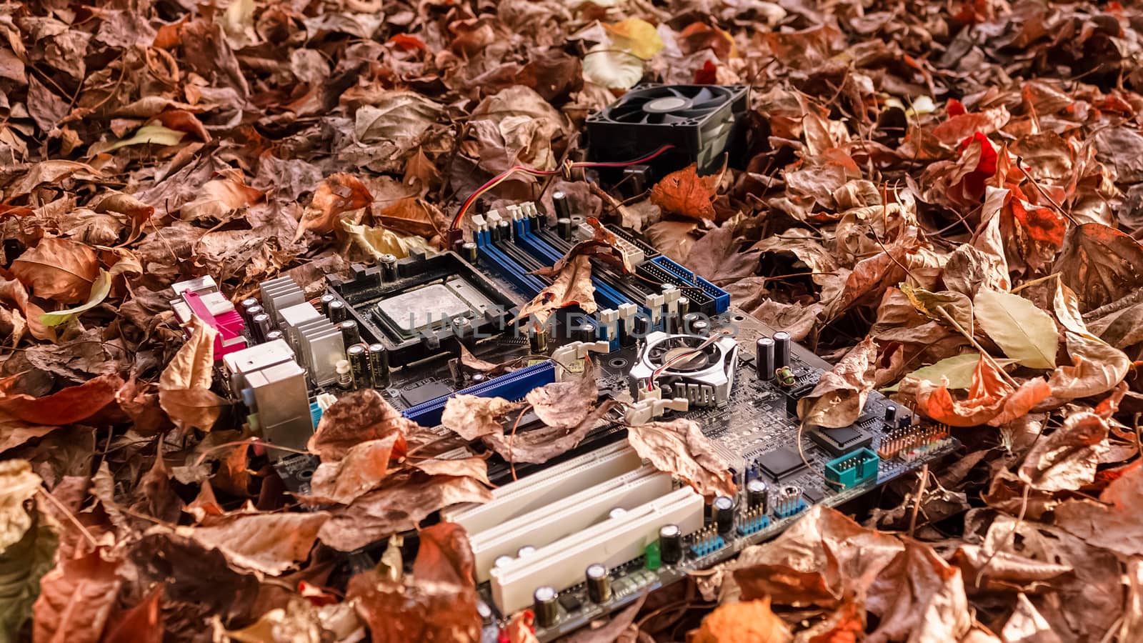 Thrown to the dump because of a breakdown of the computer motherboard on the autumn foliage