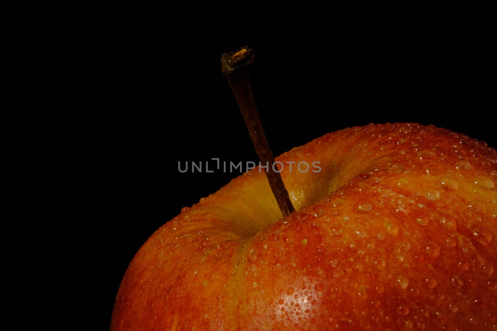 detail fresh red Apple with water droplet