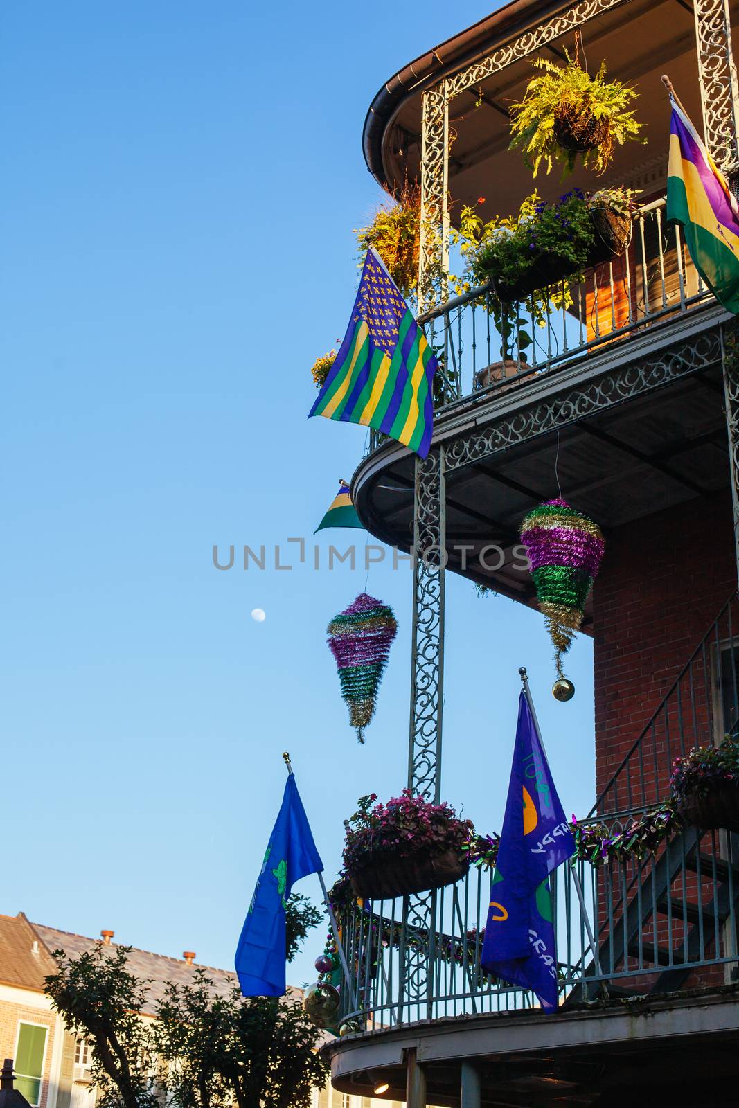 New Orleans Flowers for Mardi Gras USA by FiledIMAGE