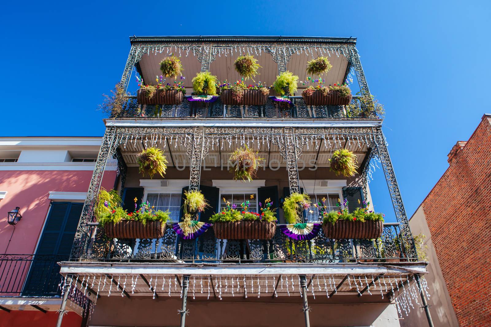 New Orleans Flowers for Mardi Gras USA by FiledIMAGE