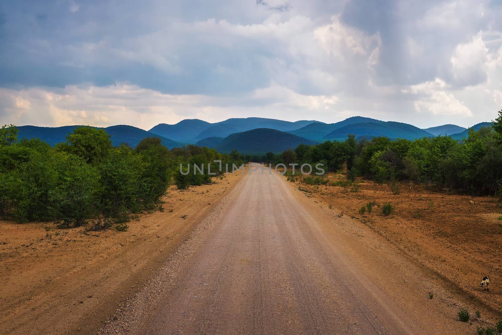 Gravel road C43 in the Kunene Region of north-western Namibia going from Opuwo to Angola.