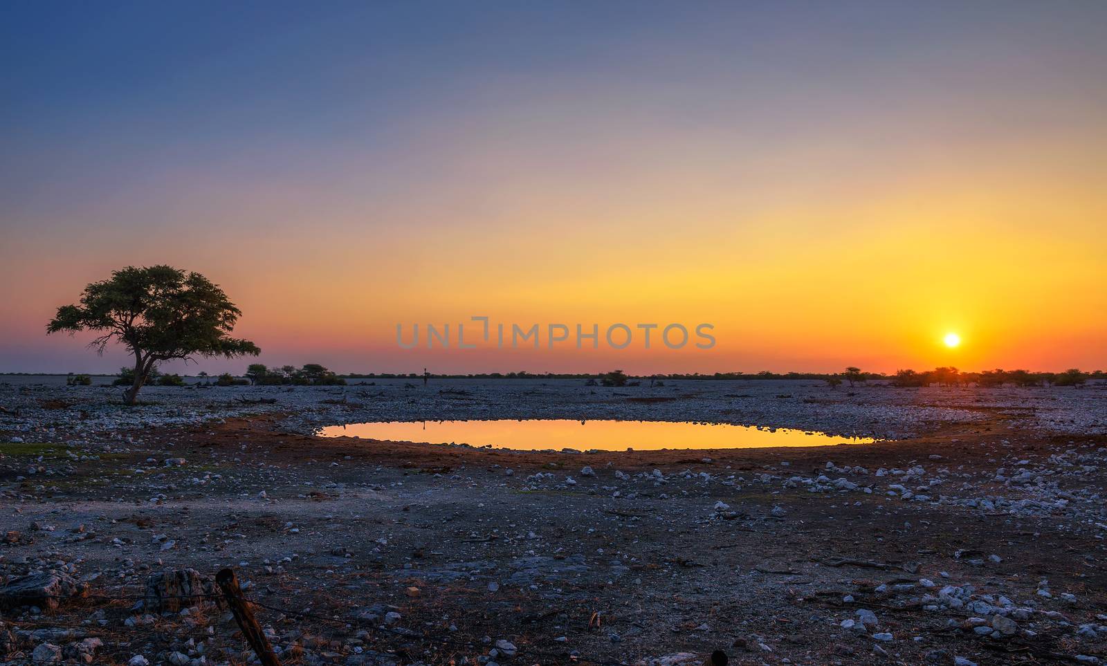 Sunset over the waterhole of Okaukuejo Camp in Etosha, Namibia by nickfox