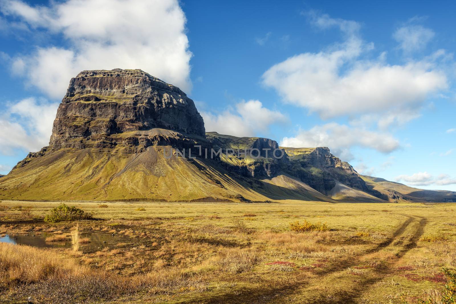 Scenic landscape with field winding car tracks in Iceland