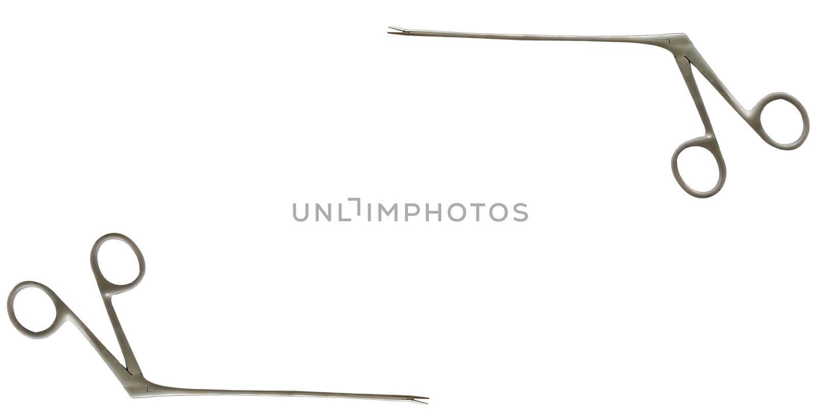 Aligator forceps or crocodile forceps on isolated background