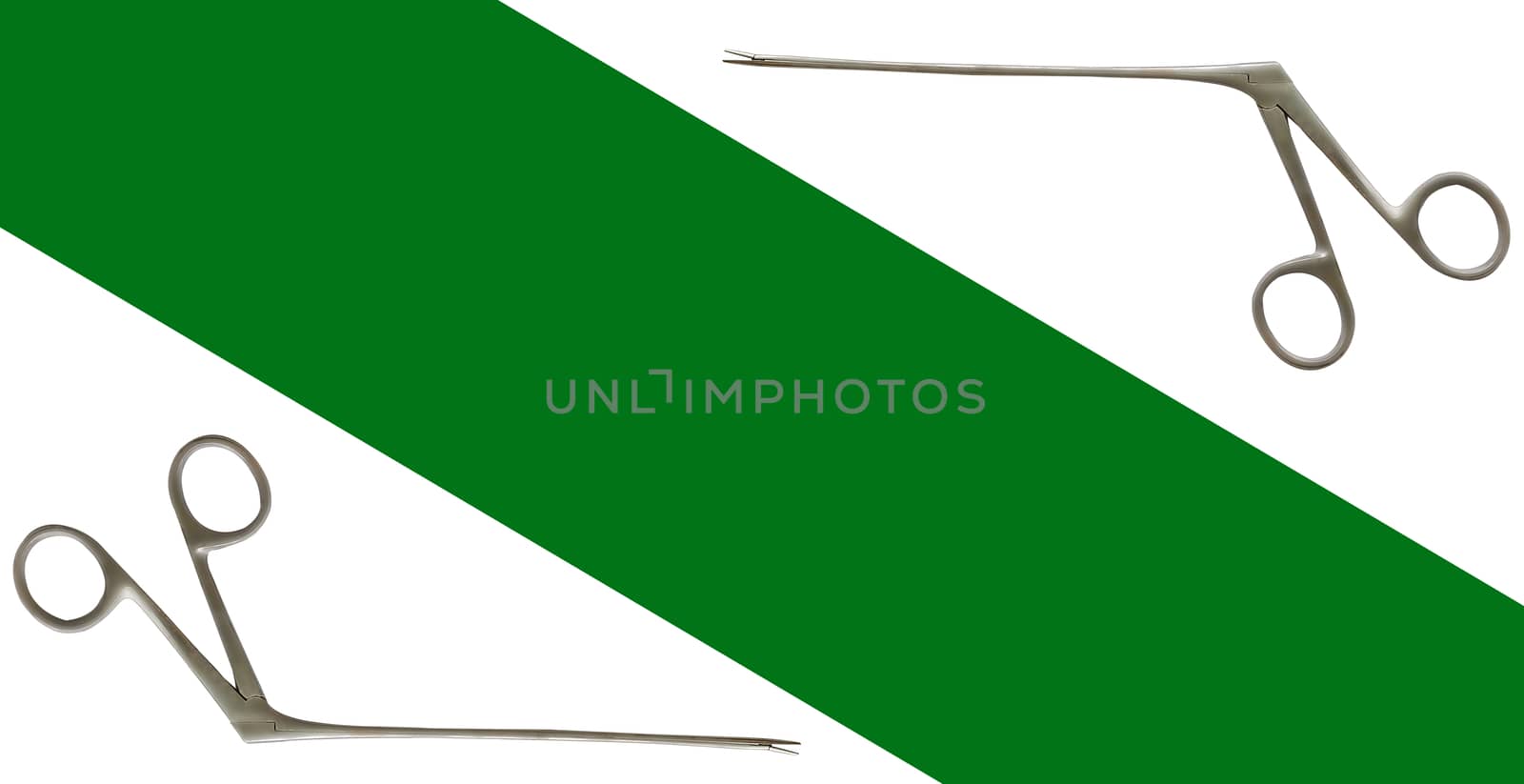 Aligator forceps or crocodile forceps on isolated background,copy space