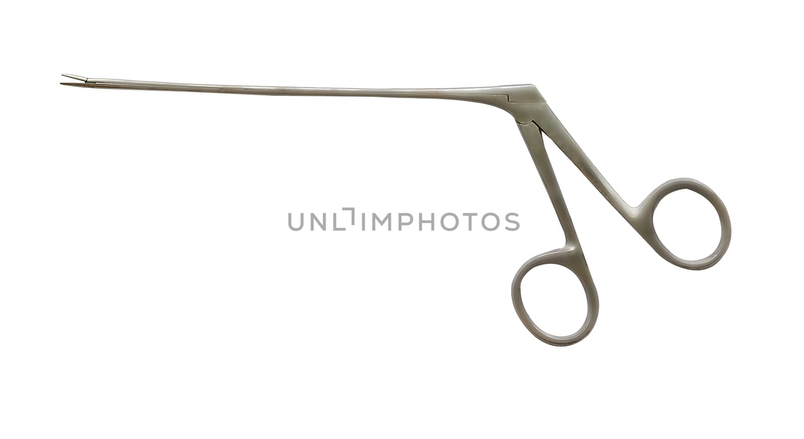 Aligator forceps or crocodile forceps on white isolated background